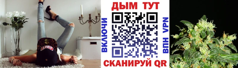 Бошки Шишки Белокуриха