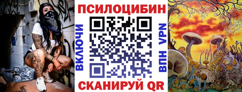Купить закладки  Белокуриха  Псилоцибиновые грибы MAGIC MUSHROOMS 